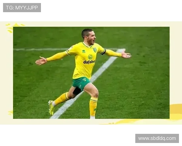 诺维奇冲超失败 本赛季英冠升级形势分析