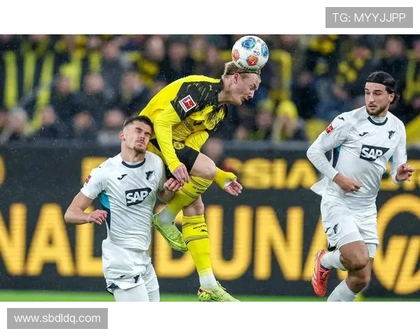 多特蒙德争冠关键阶段表现波动，对冠军竞争走势产生持续影响